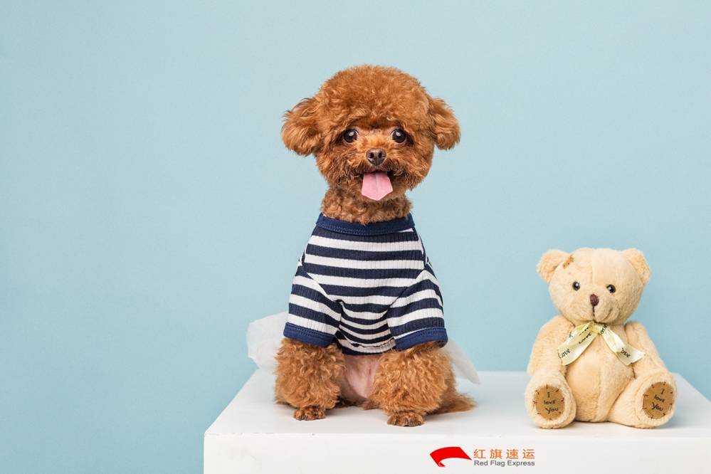 玩具香港转运到中国