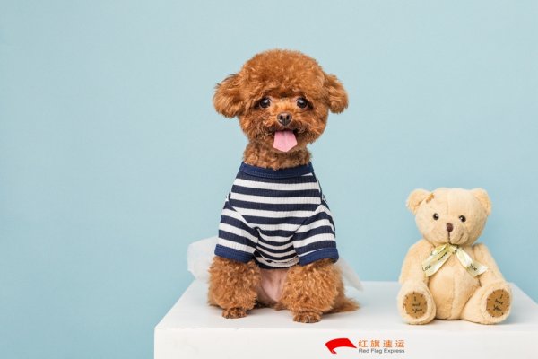 疫情期间香港商品如何转运到云南德宏呢？